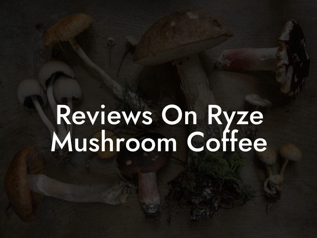 Reviews On Ryze Mushroom Coffee