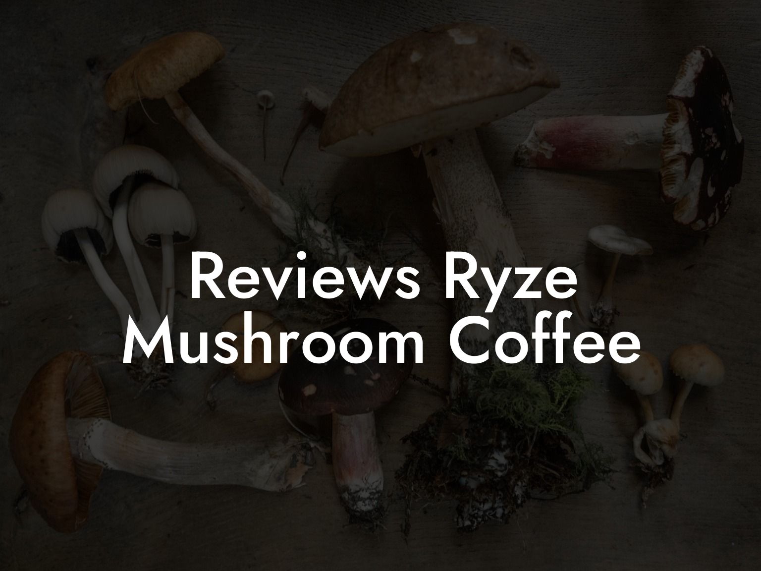 Reviews Ryze Mushroom Coffee