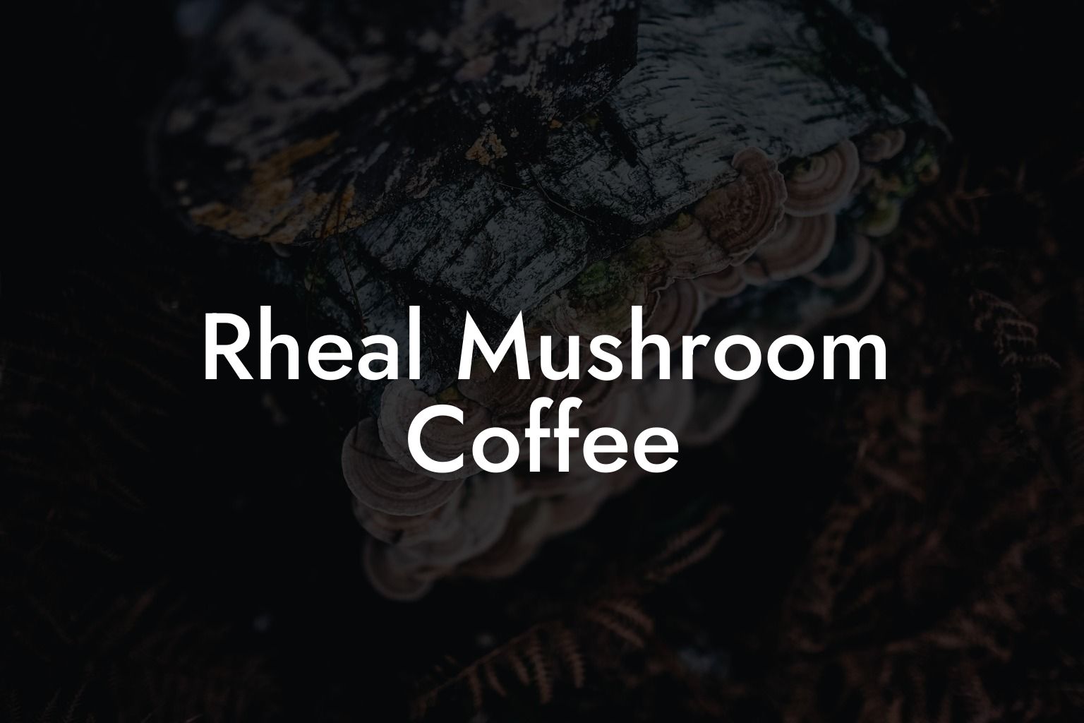 Rheal Mushroom Coffee
