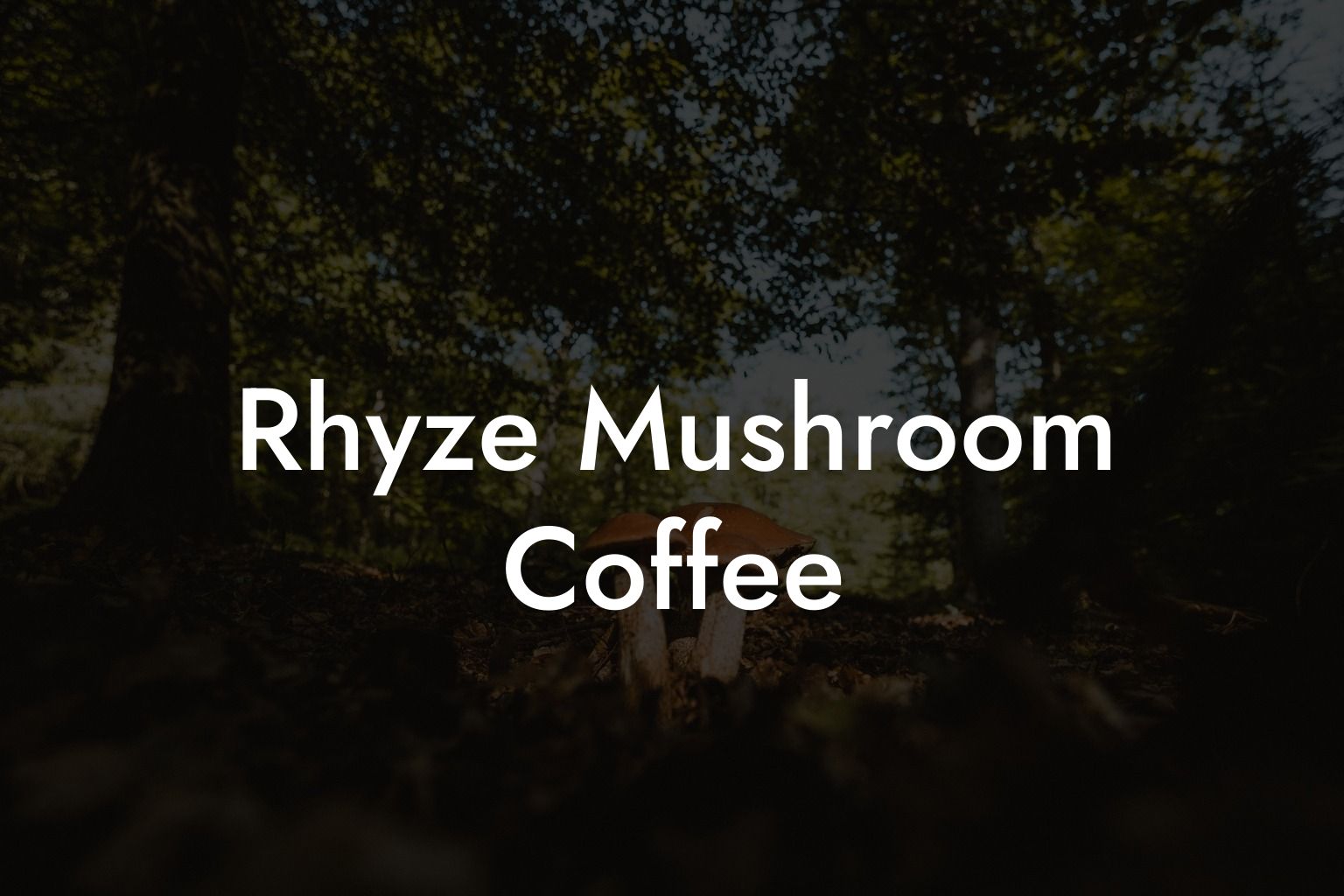 Rhyze Mushroom Coffee