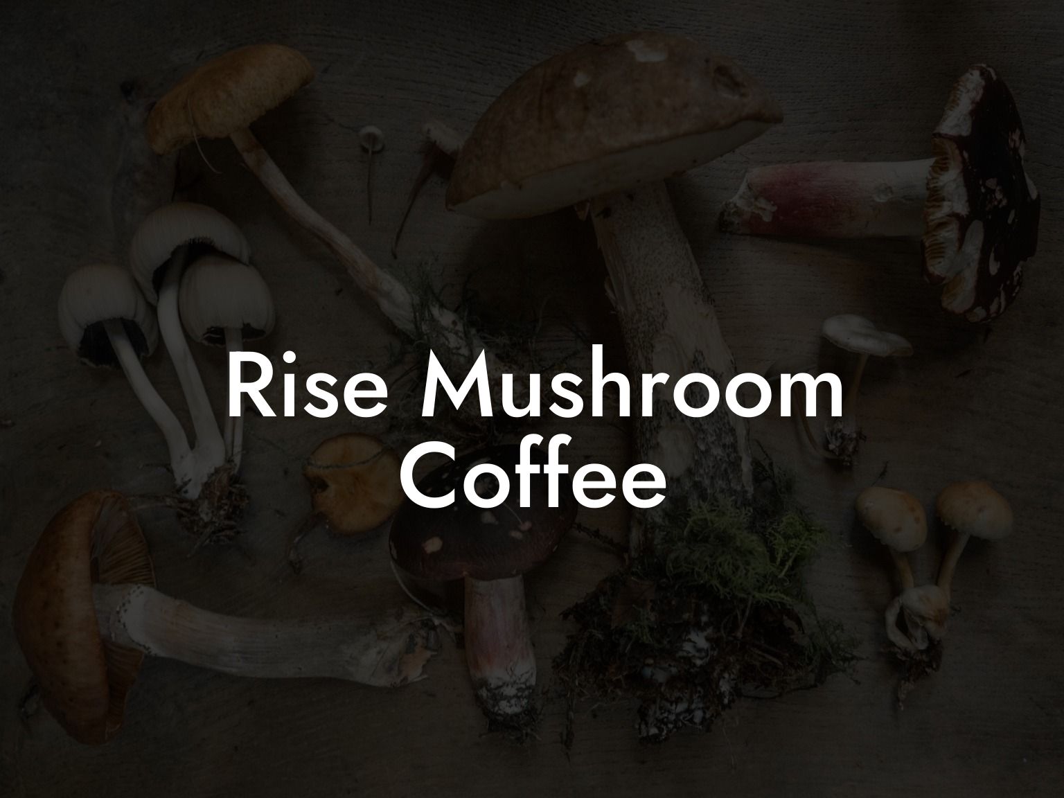 Rise Mushroom Coffee