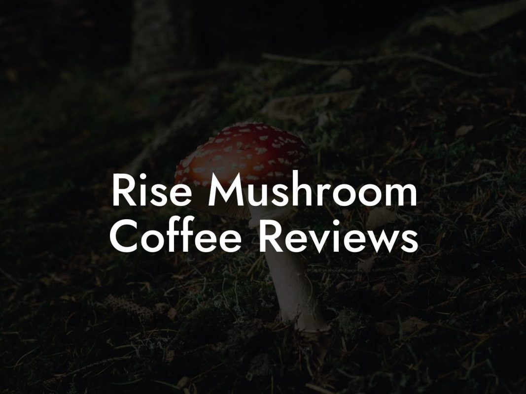 Rise Mushroom Coffee Reviews