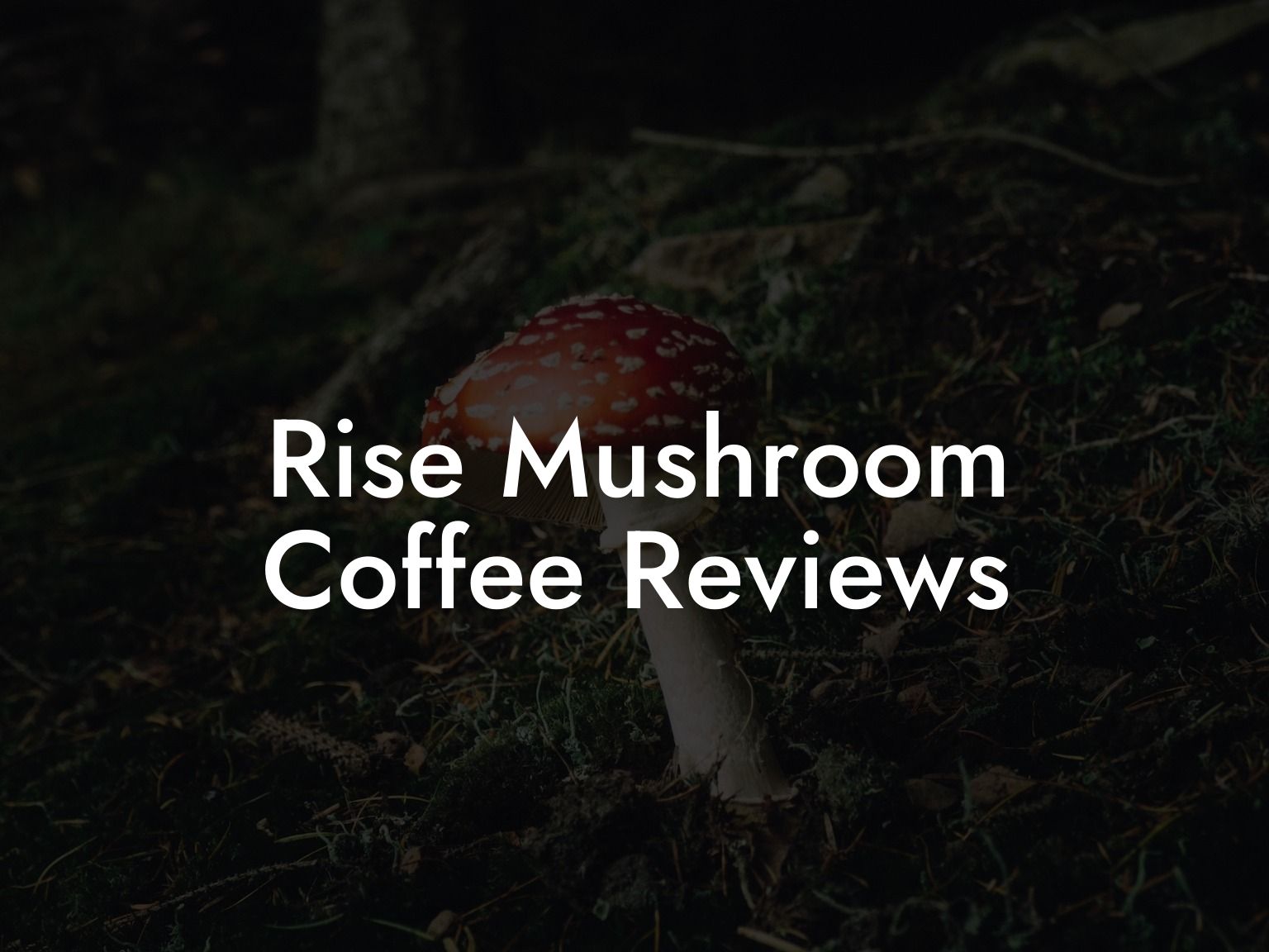 Rise Mushroom Coffee Reviews