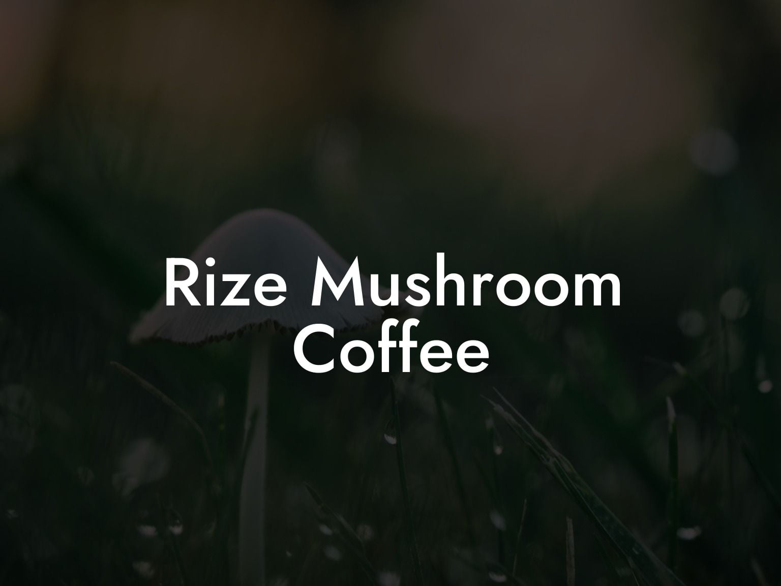 Rize Mushroom Coffee