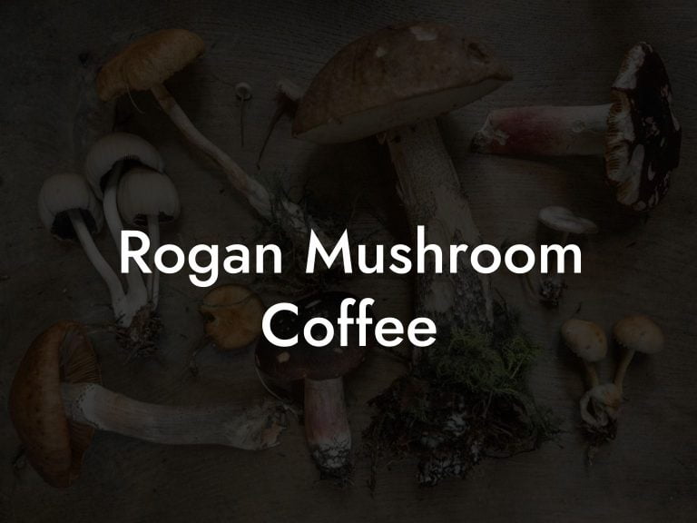 Rogan Mushroom Coffee Mr Mushroom