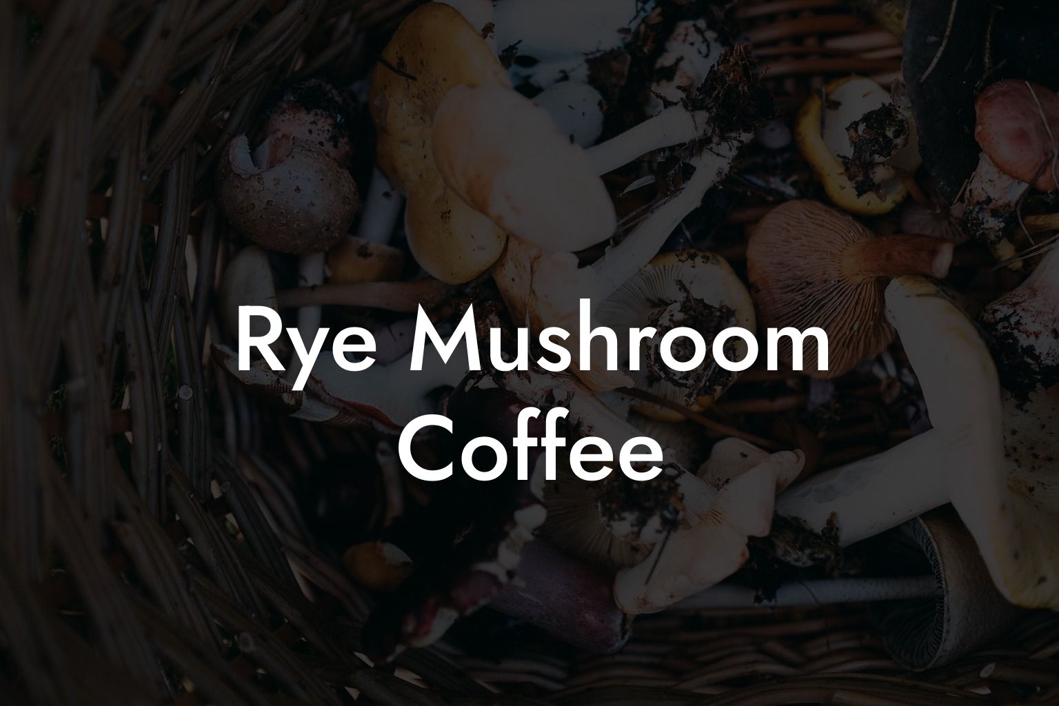 Rye Mushroom Coffee