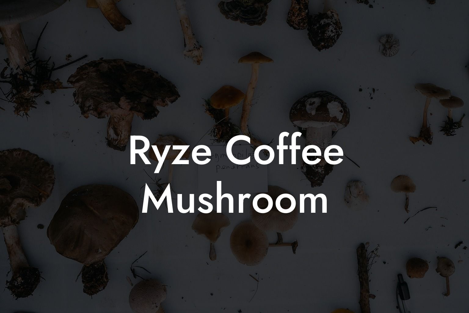 Ryze Coffee Mushroom