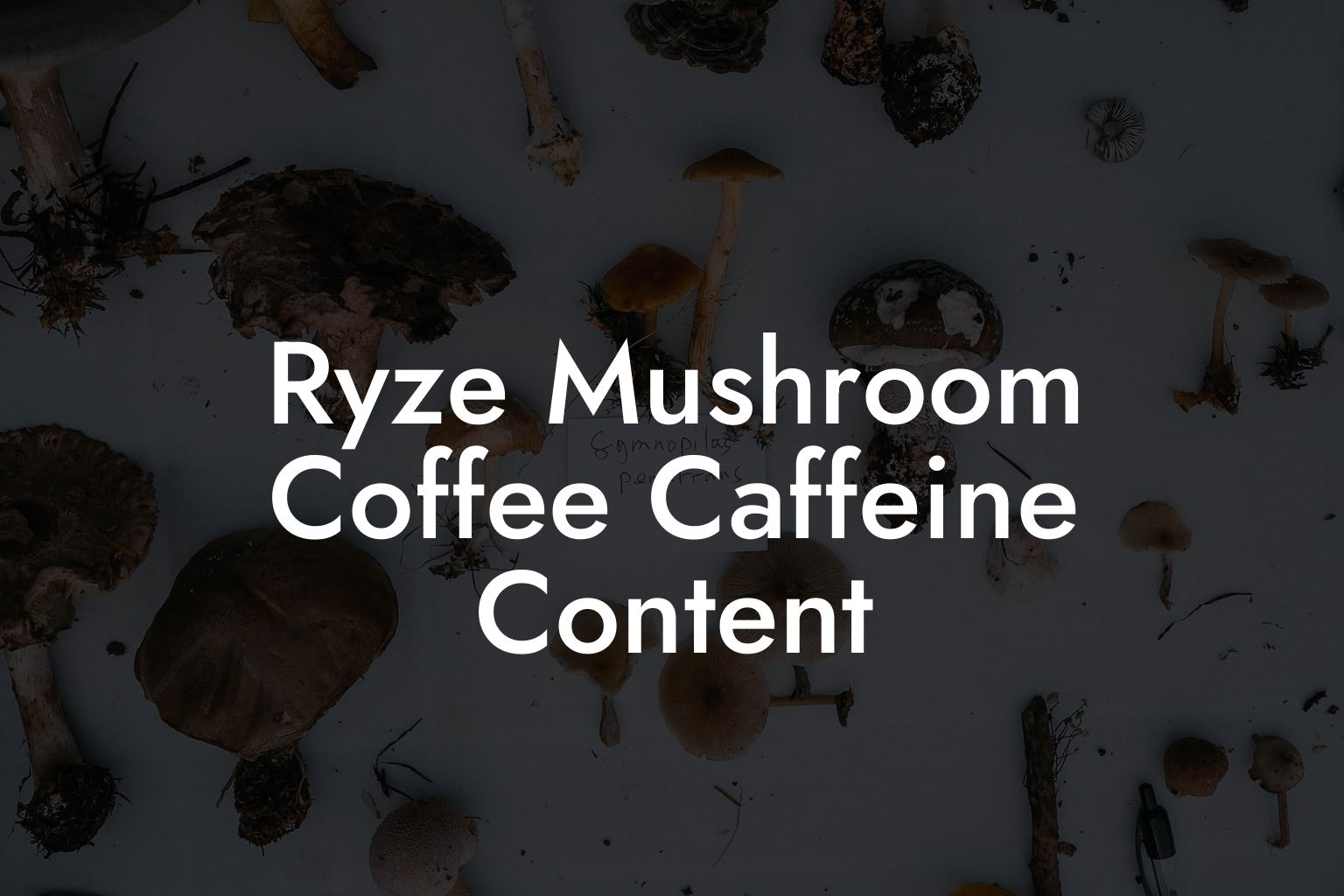 Ryze Mushroom Coffee Caffeine Content