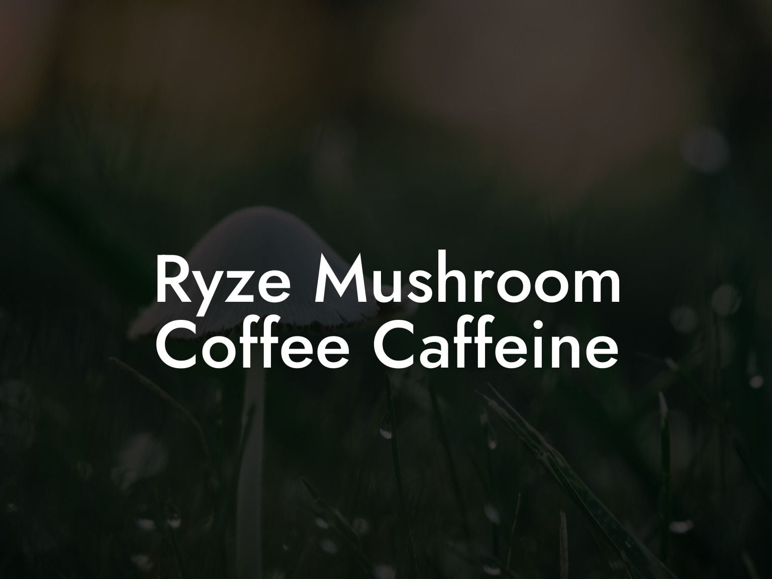 Ryze Mushroom Coffee Caffeine