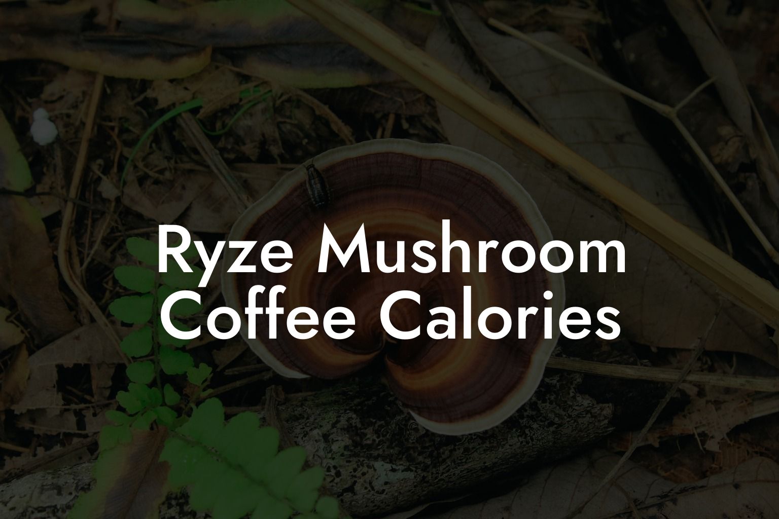 Ryze Mushroom Coffee Calories