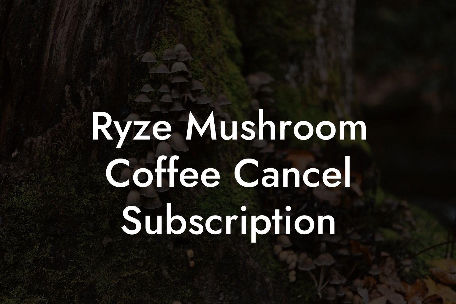 Ryze Mushroom Coffee Cancel Subscription - Mr Mushroom