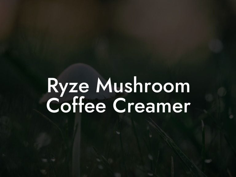 Ryze Mushroom Coffee Creamer Mr Mushroom