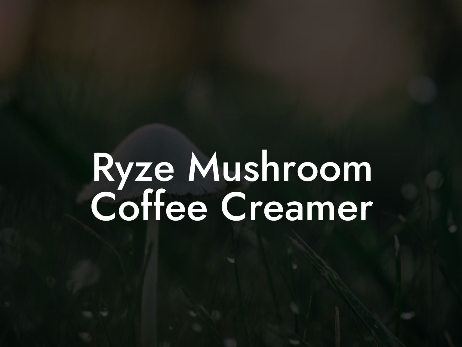 Ryze Mushroom Coffee Creamer