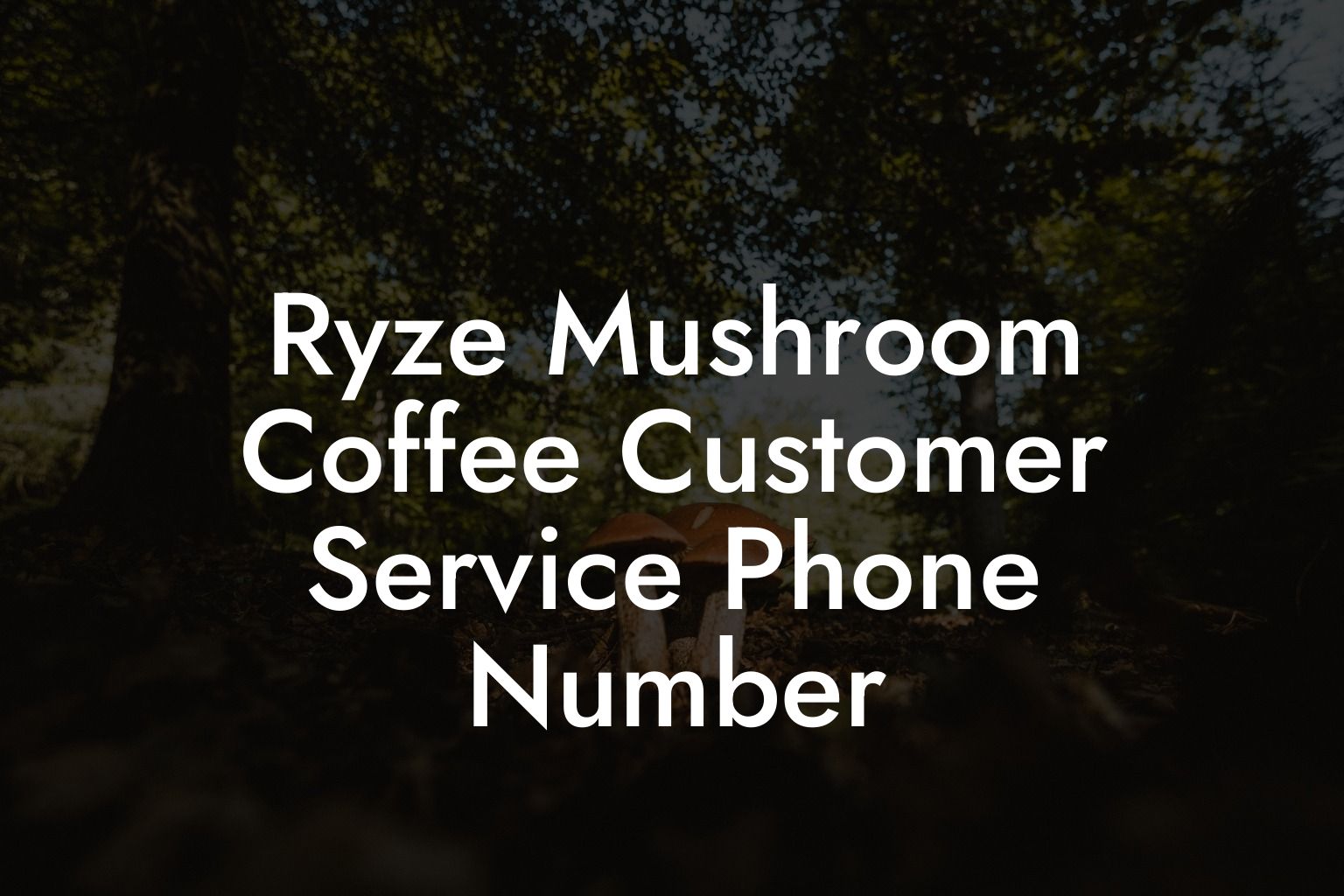 Ryze Mushroom Coffee Customer Service Phone Number
