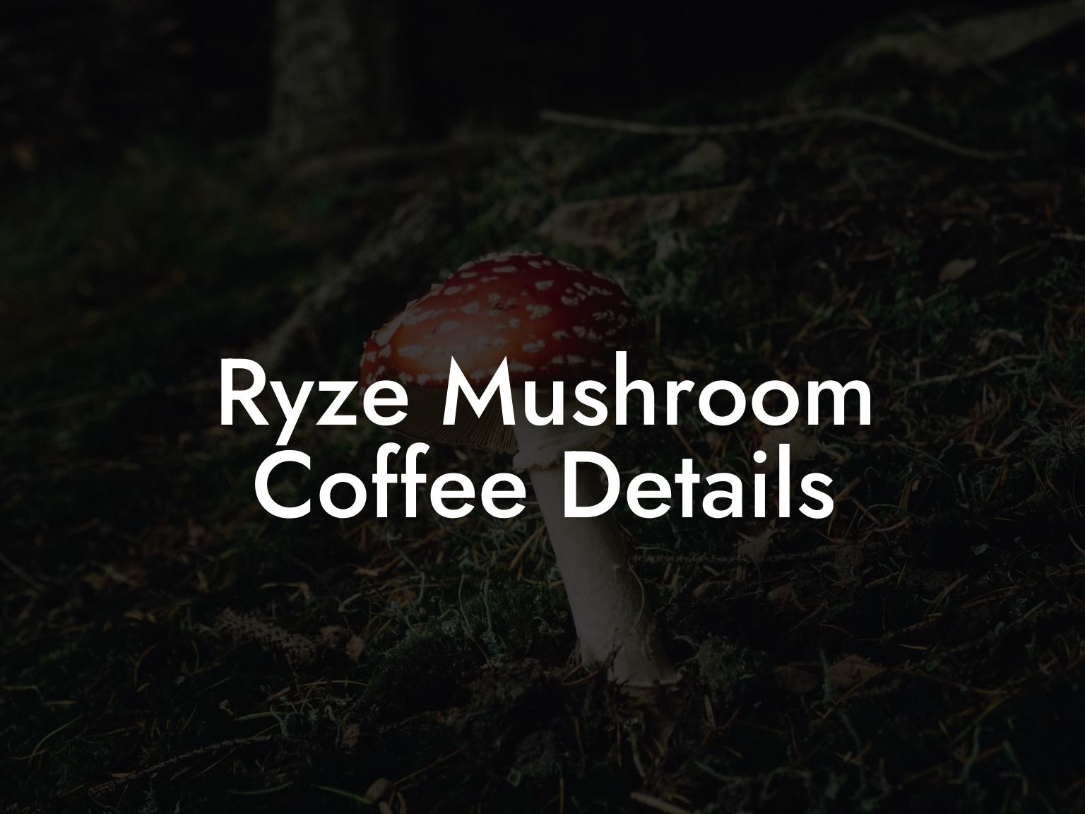Ryze Mushroom Coffee Details