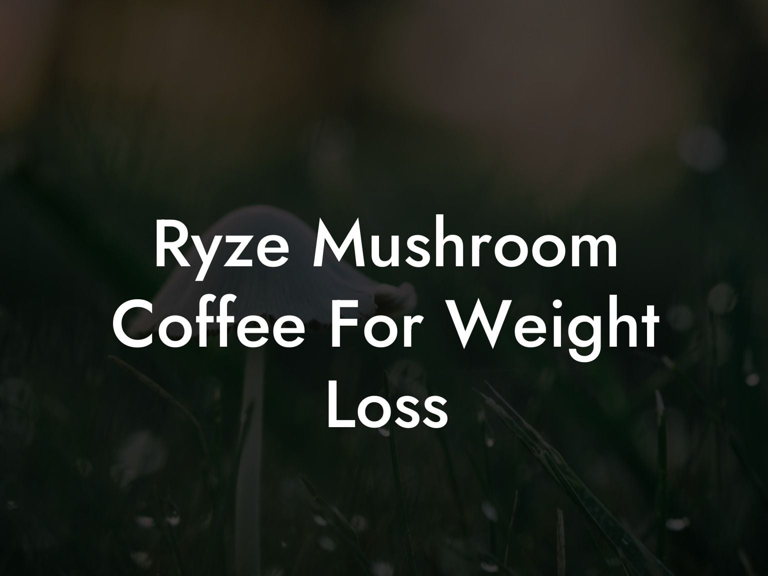 Ryze Mushroom Coffee For Weight Loss