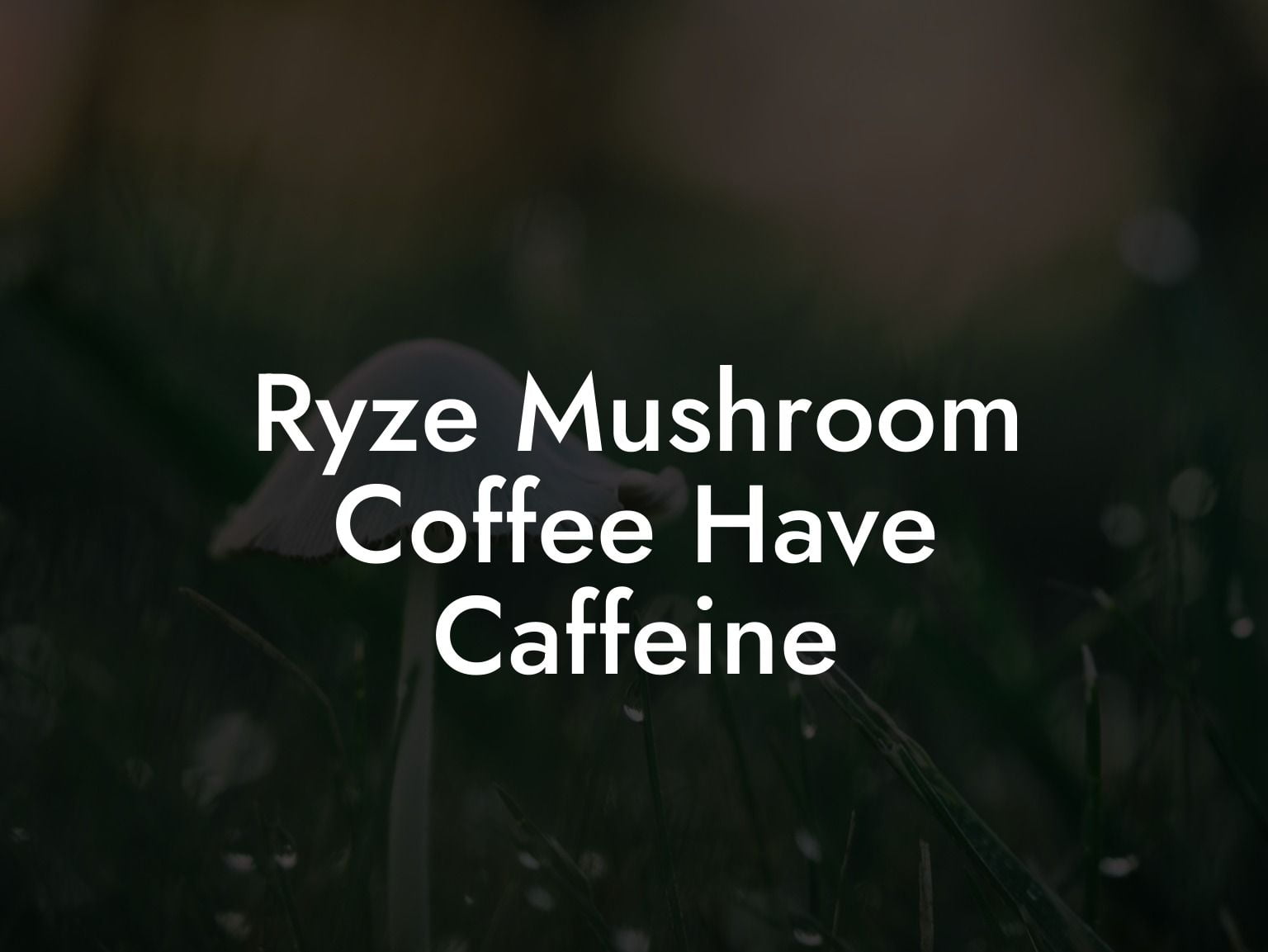 Ryze Mushroom Coffee Have Caffeine