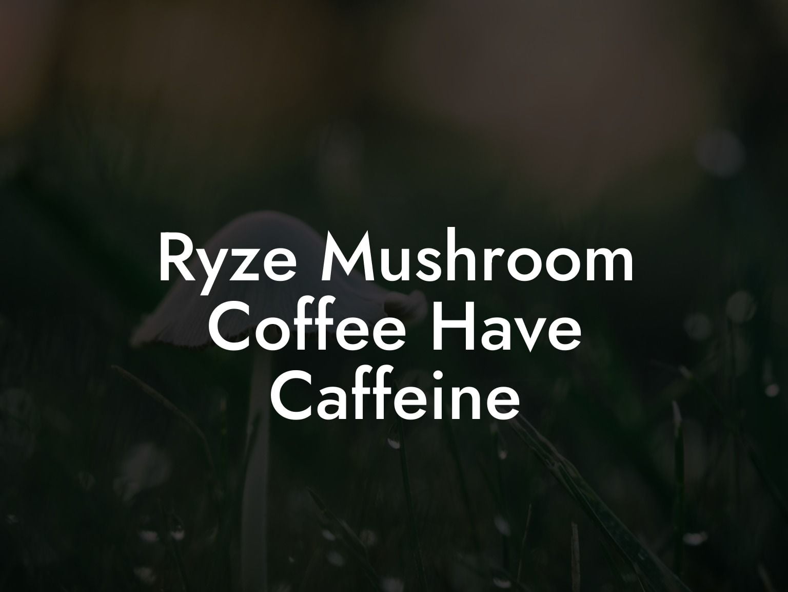 Ryze Mushroom Coffee Have Caffeine Mr Mushroom