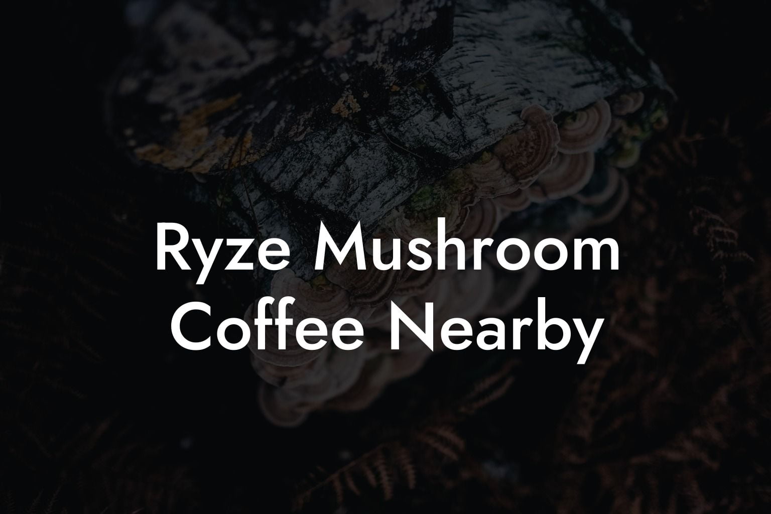 Ryze Mushroom Coffee Nearby