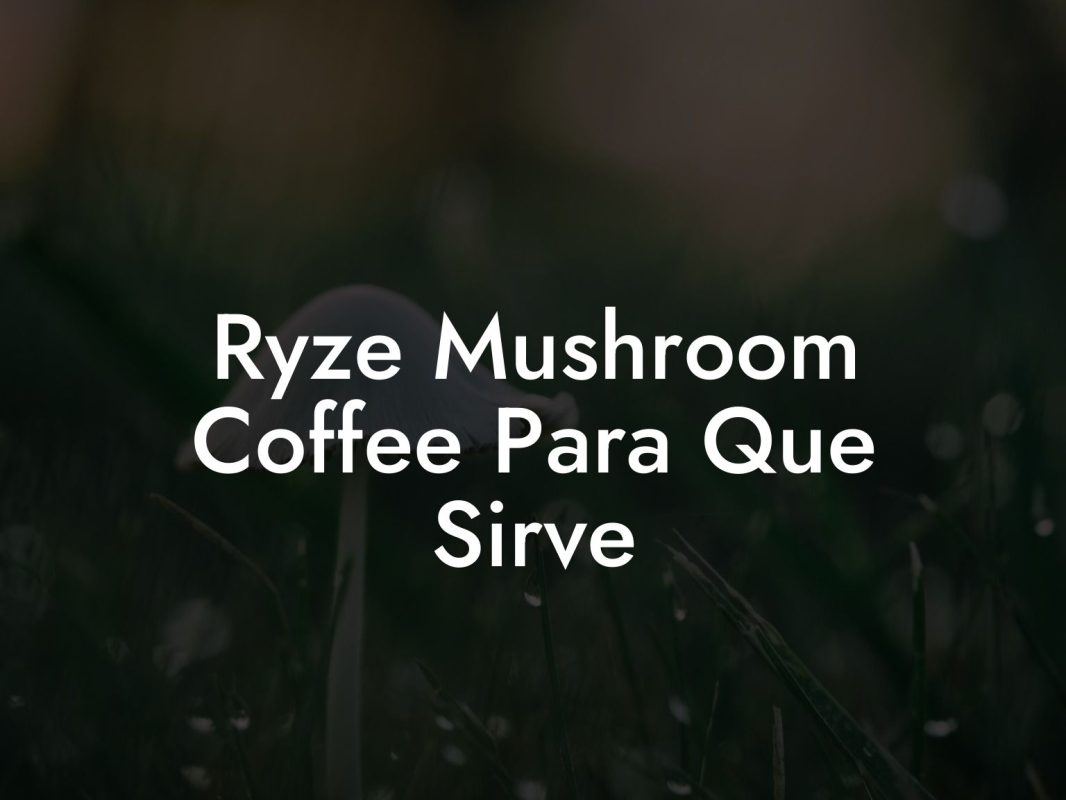 Ryze Mushroom Coffee Para Que Sirve