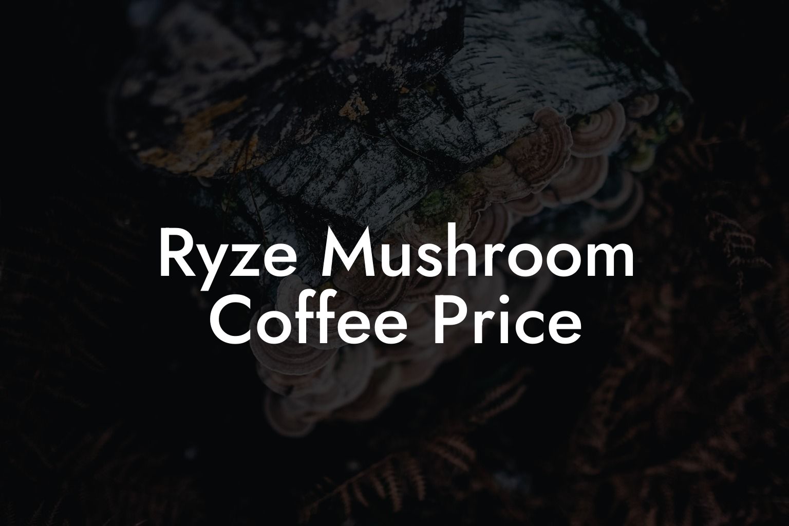 Ryze Mushroom Coffee Price