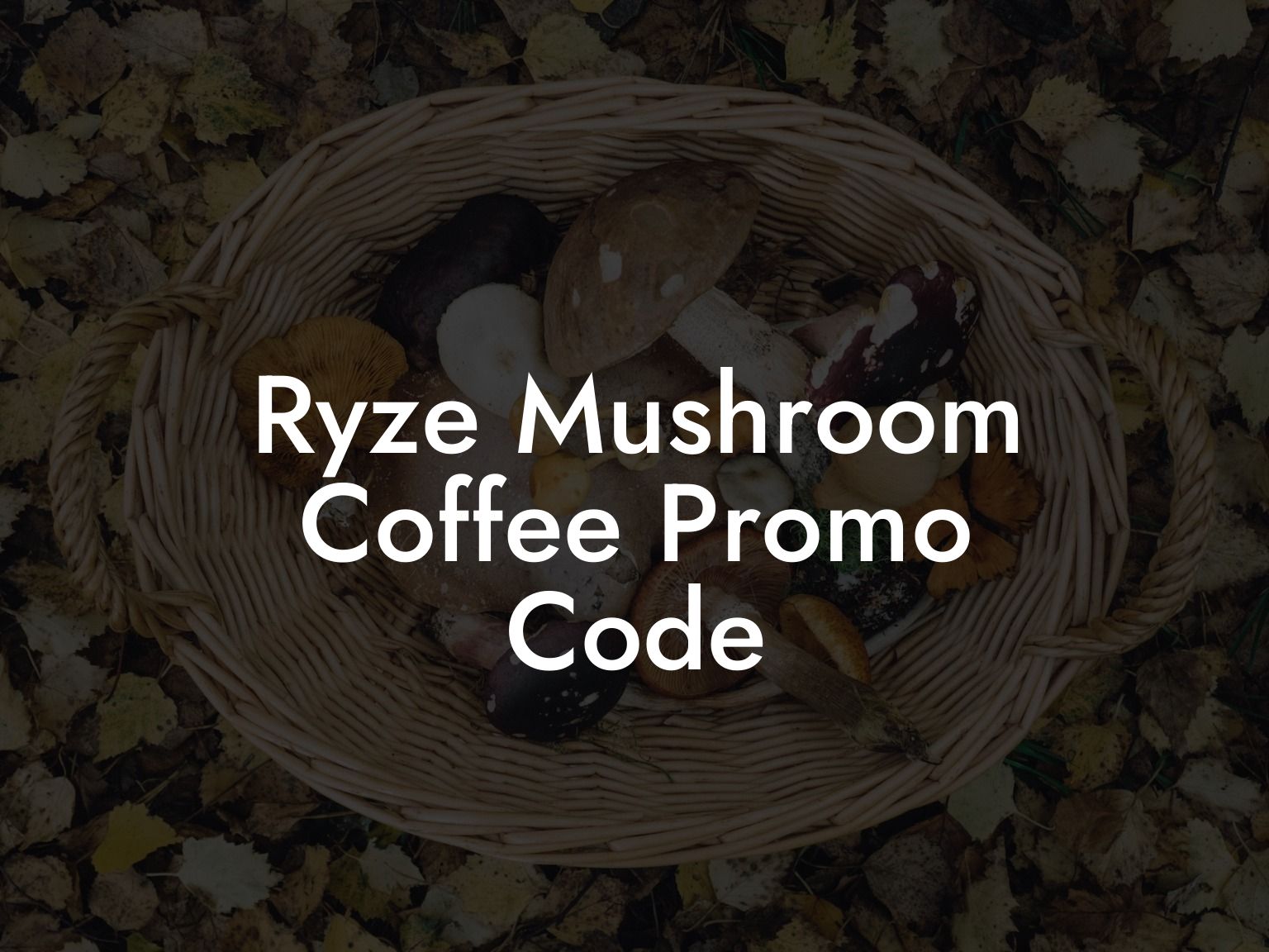 Ryze Mushroom Coffee Promo Code Mr Mushroom