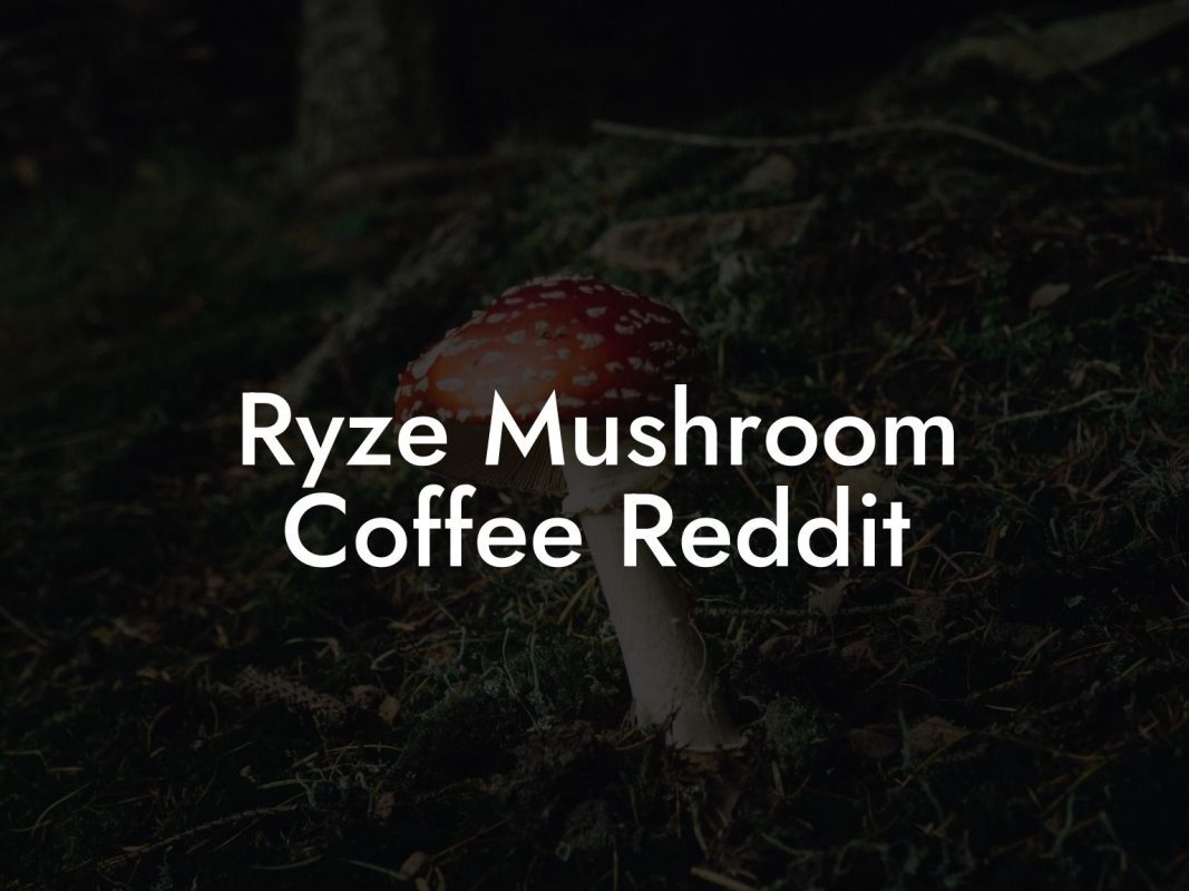 Ryze Mushroom Coffee Reddit