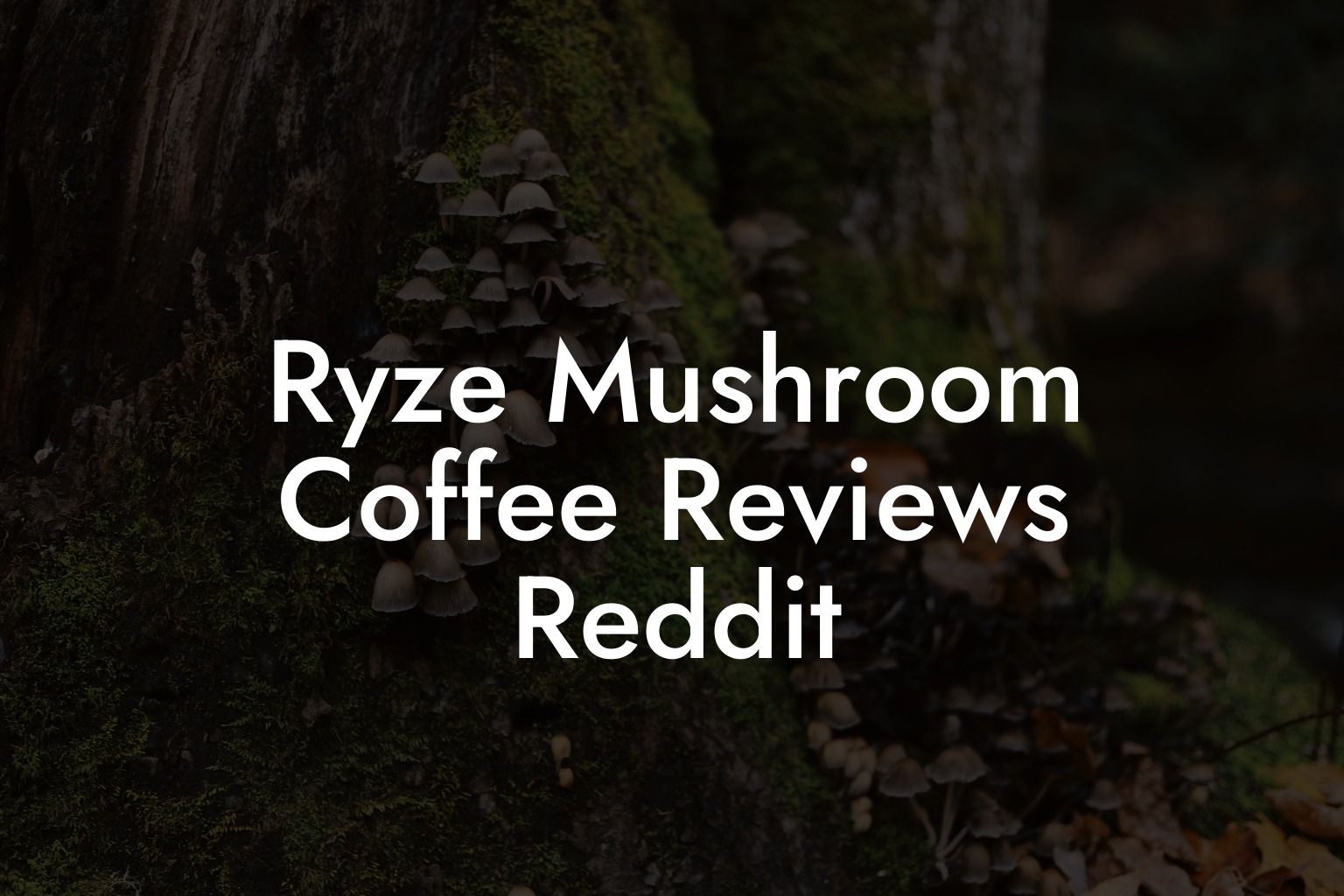 Ryze Mushroom Coffee Reviews Reddit