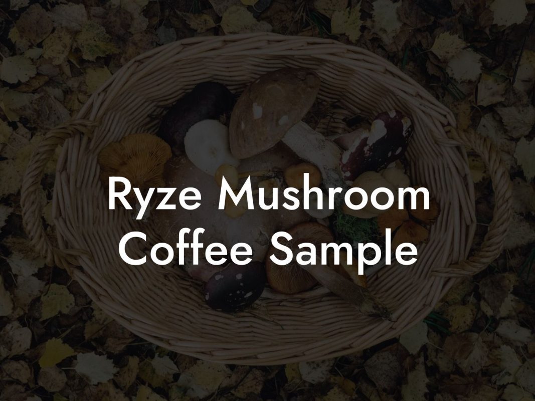 Ryze Mushroom Coffee Sample