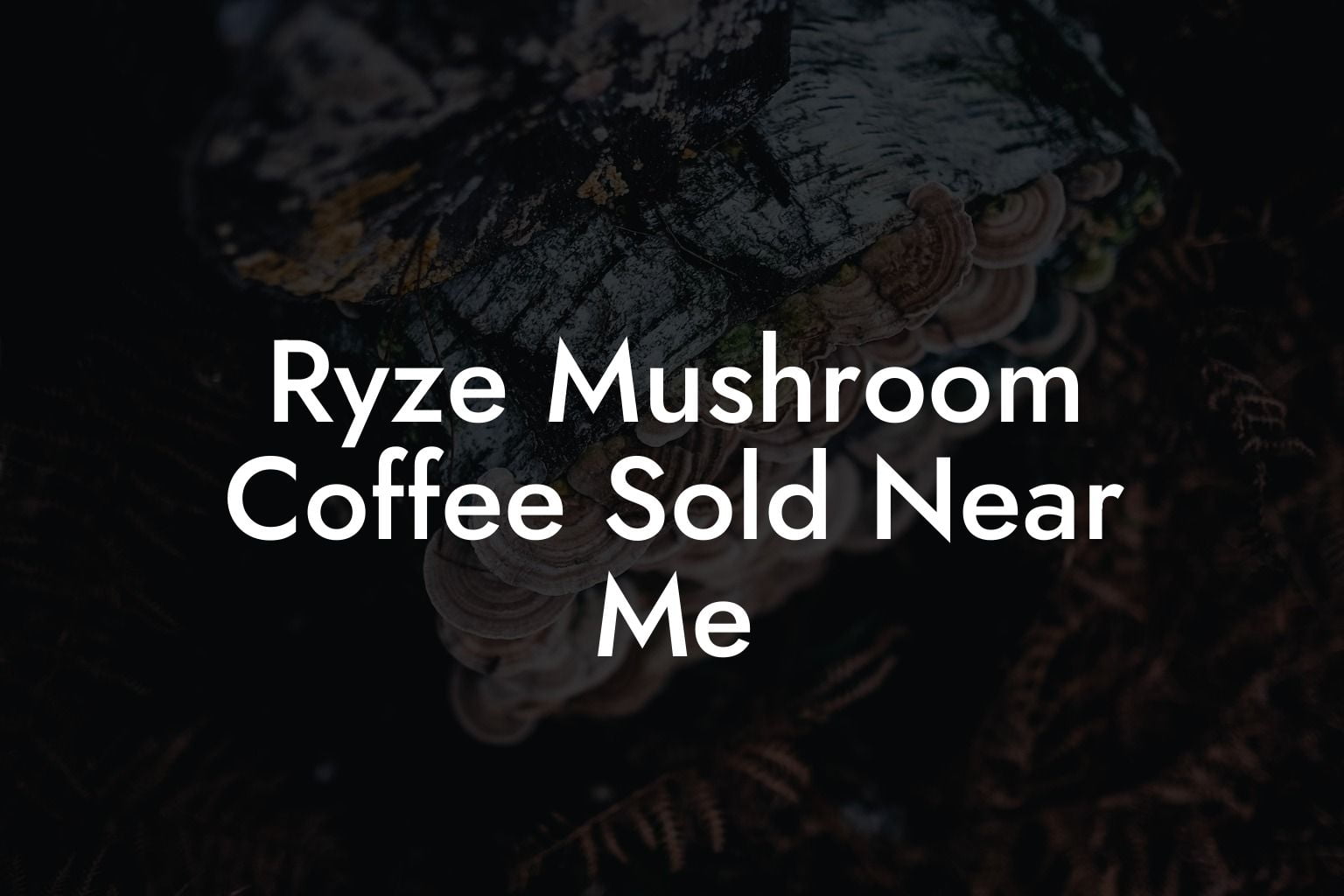 Ryze Mushroom Coffee Sold Near Me