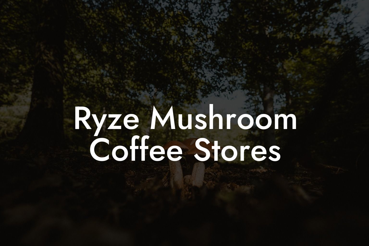 Ryze Mushroom Coffee Stores