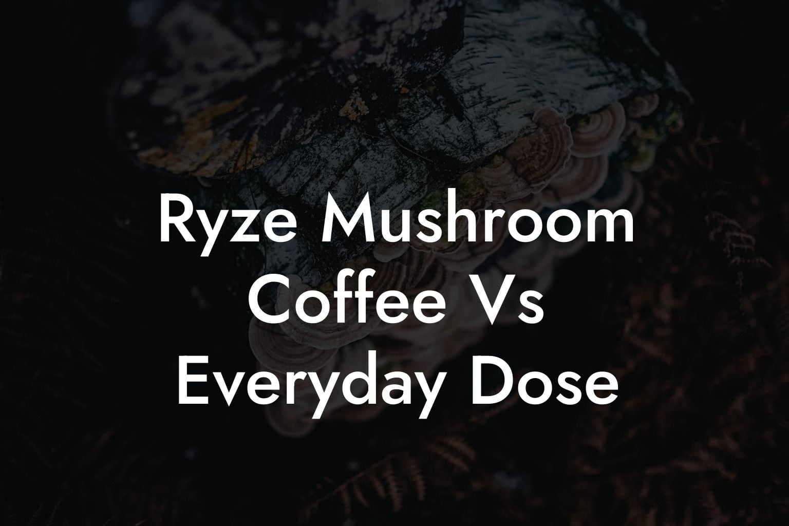 Ryze Mushroom Coffee Vs Everyday Dose