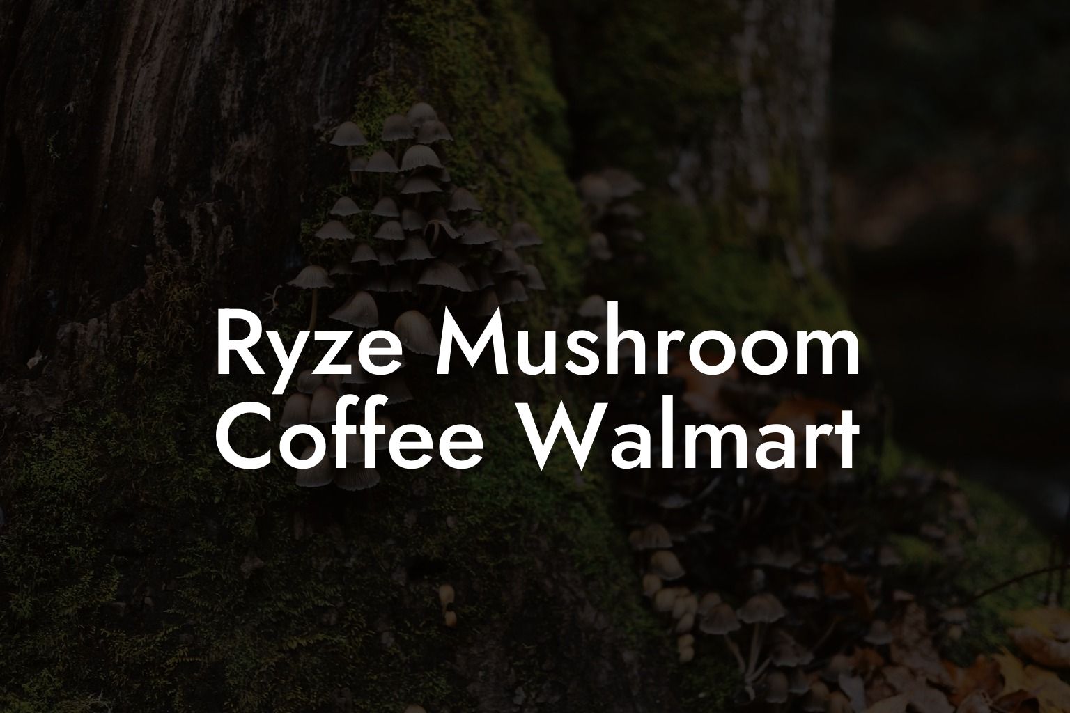 Ryze Mushroom Coffee Walmart