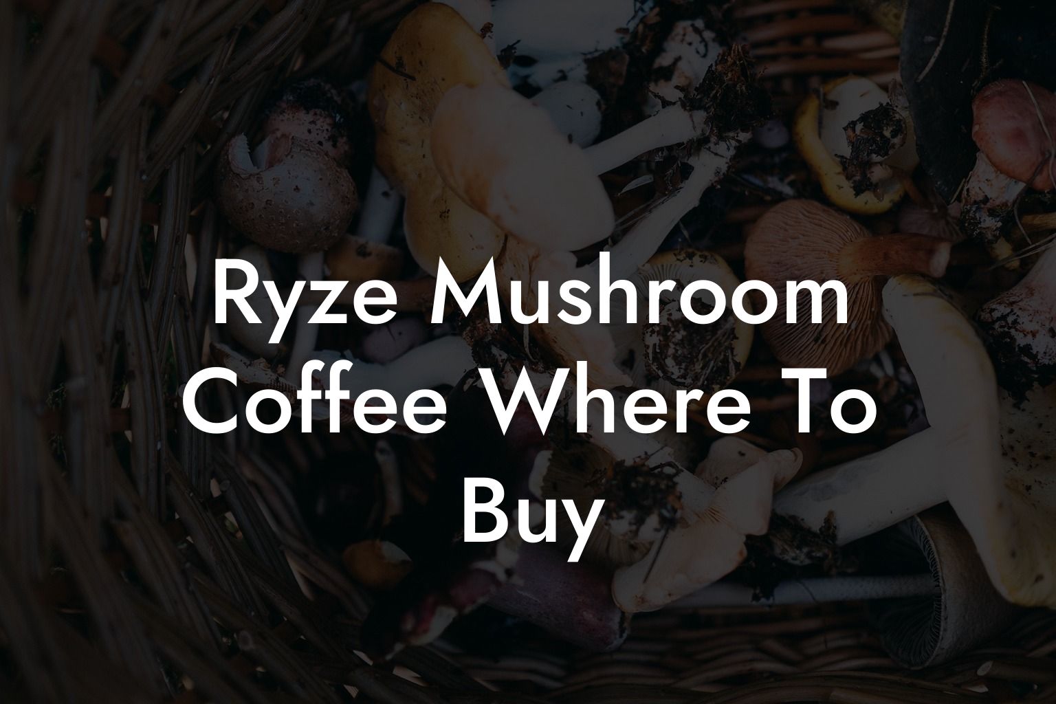 Ryze Mushroom Coffee Where To Buy