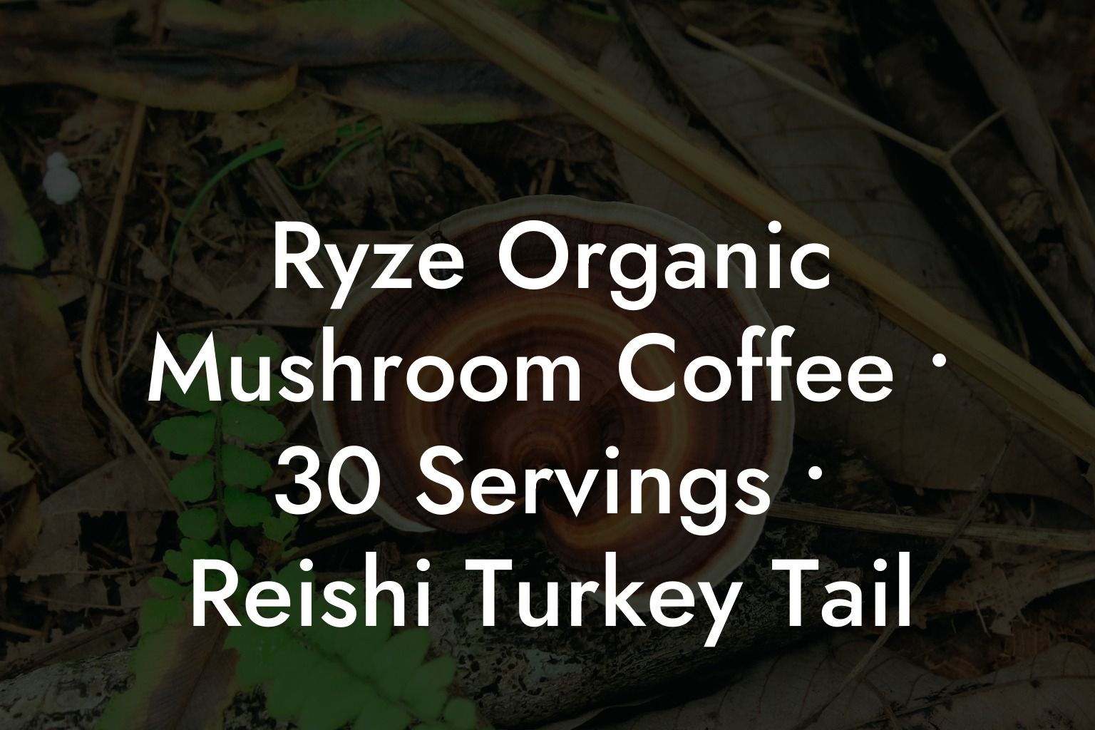 Ryze Organic Mushroom Coffee • 30 Servings • Reishi Turkey Tail