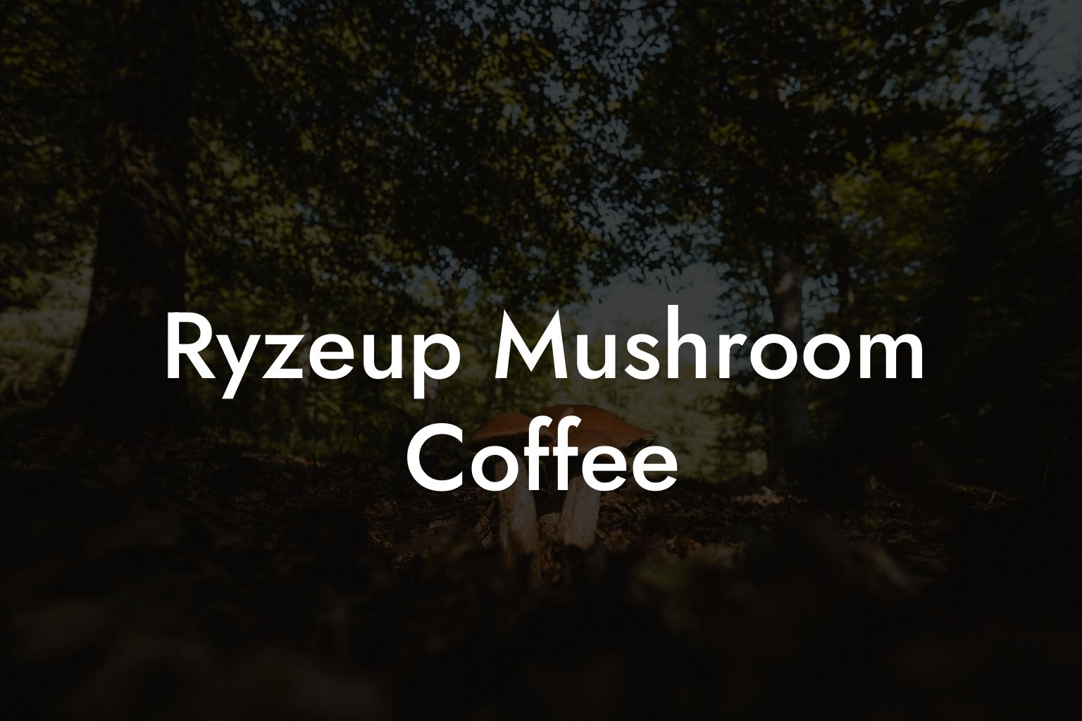 Ryzeup Mushroom Coffee