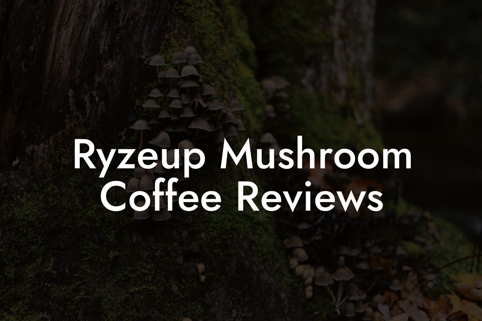 Ryzeup Mushroom Coffee Reviews