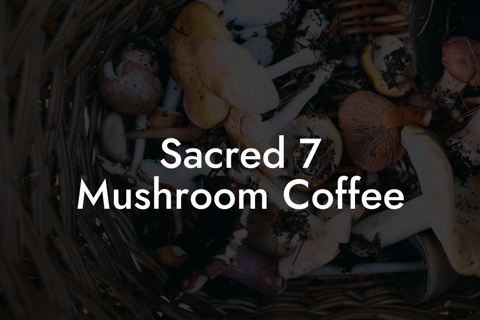 Sacred 7 Mushroom Coffee