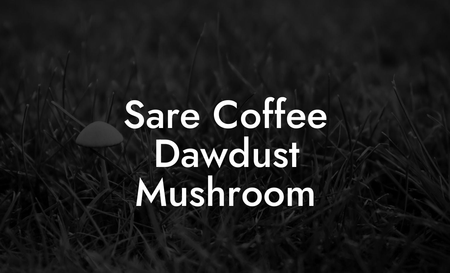 Sare Coffee Dawdust Mushroom