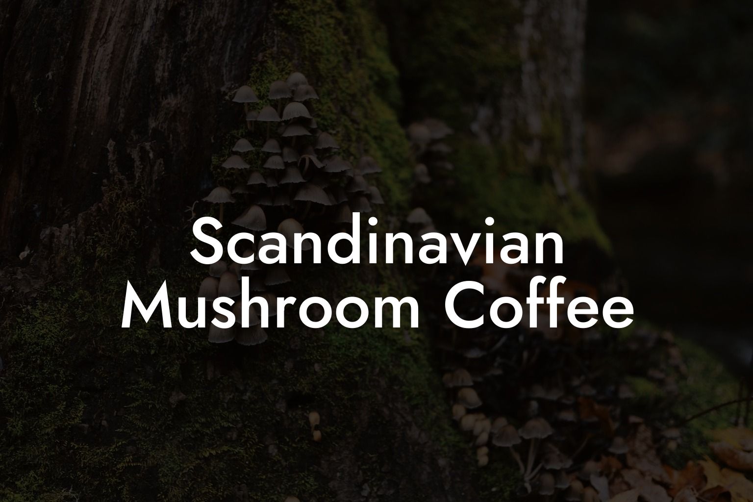 Scandinavian Mushroom Coffee