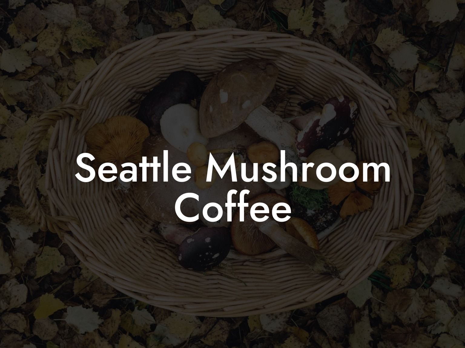 Seattle Mushroom Coffee