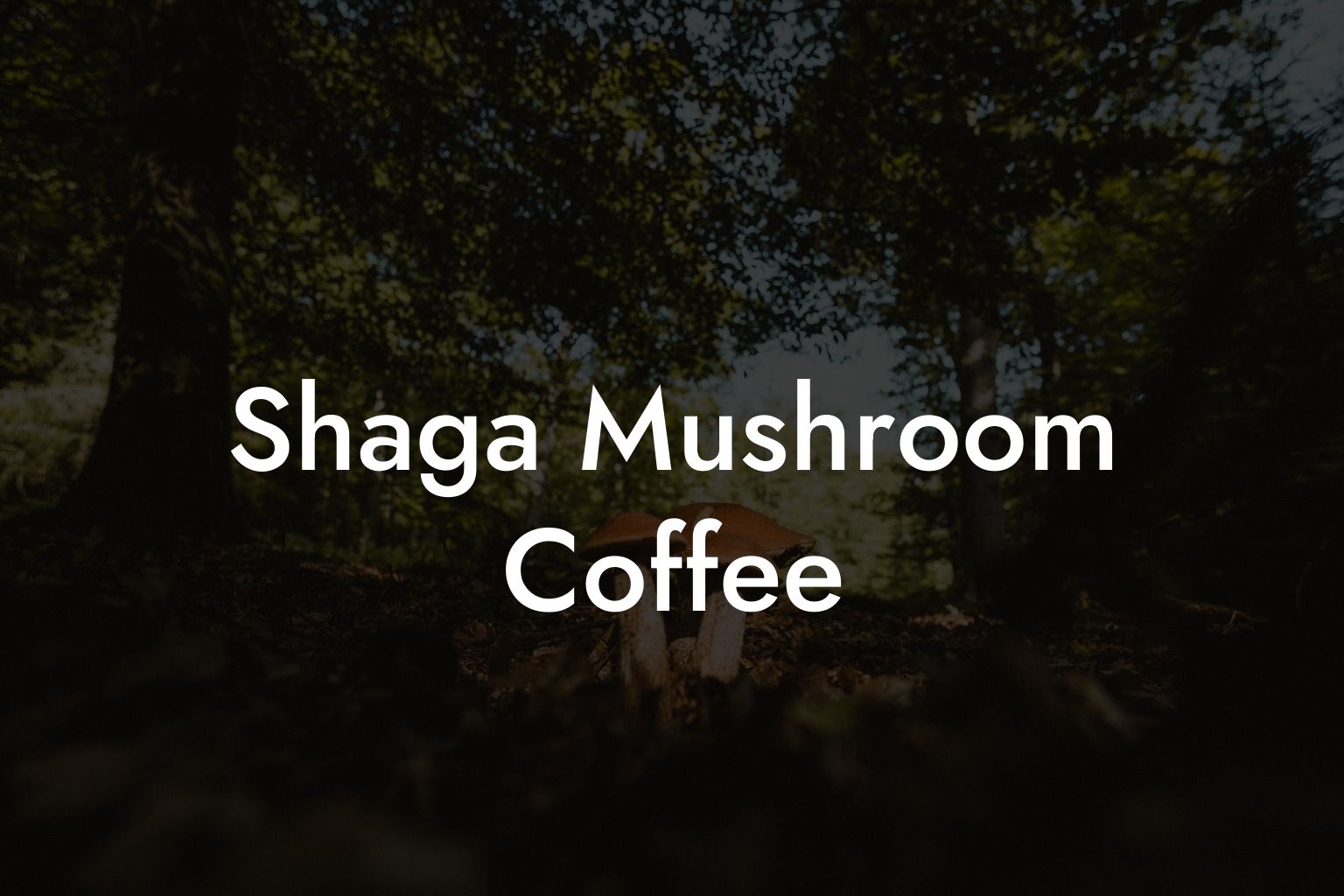 Shaga Mushroom Coffee