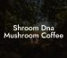 Shroom Dna Mushroom Coffee