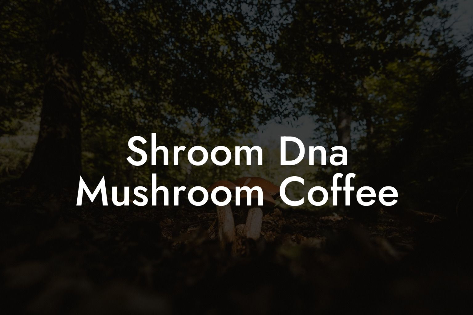 Shroom Dna Mushroom Coffee