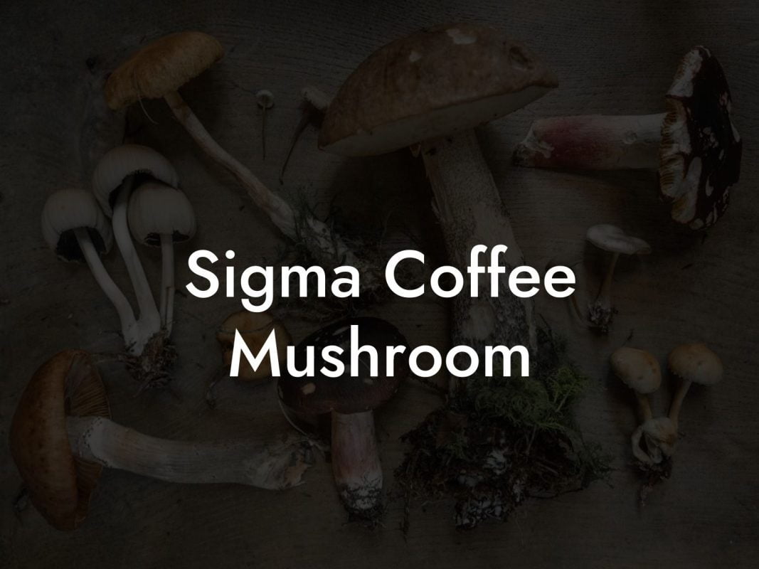 Sigma Coffee Mushroom