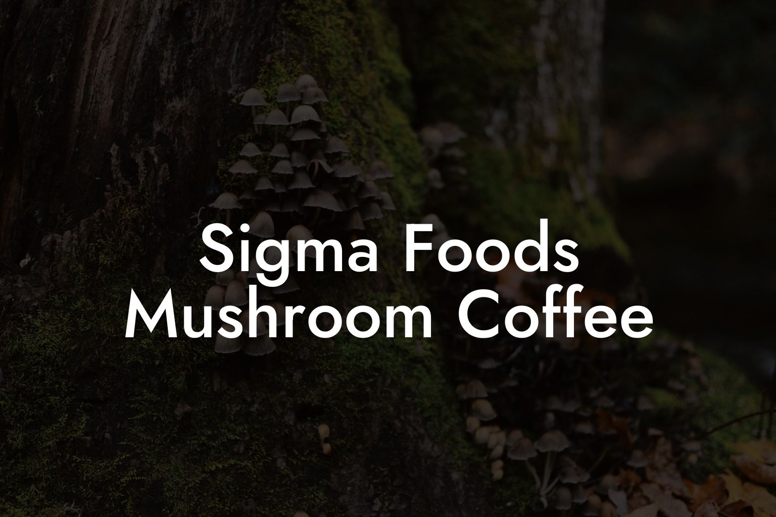 Sigma Foods Mushroom Coffee