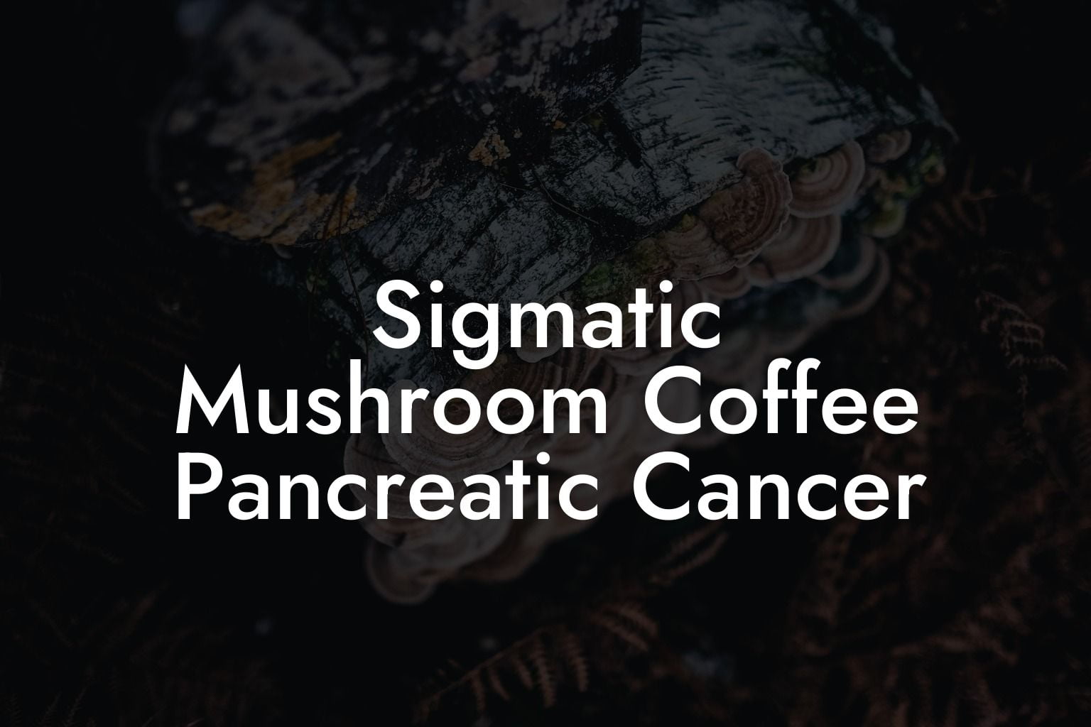 Sigmatic Mushroom Coffee Pancreatic Cancer