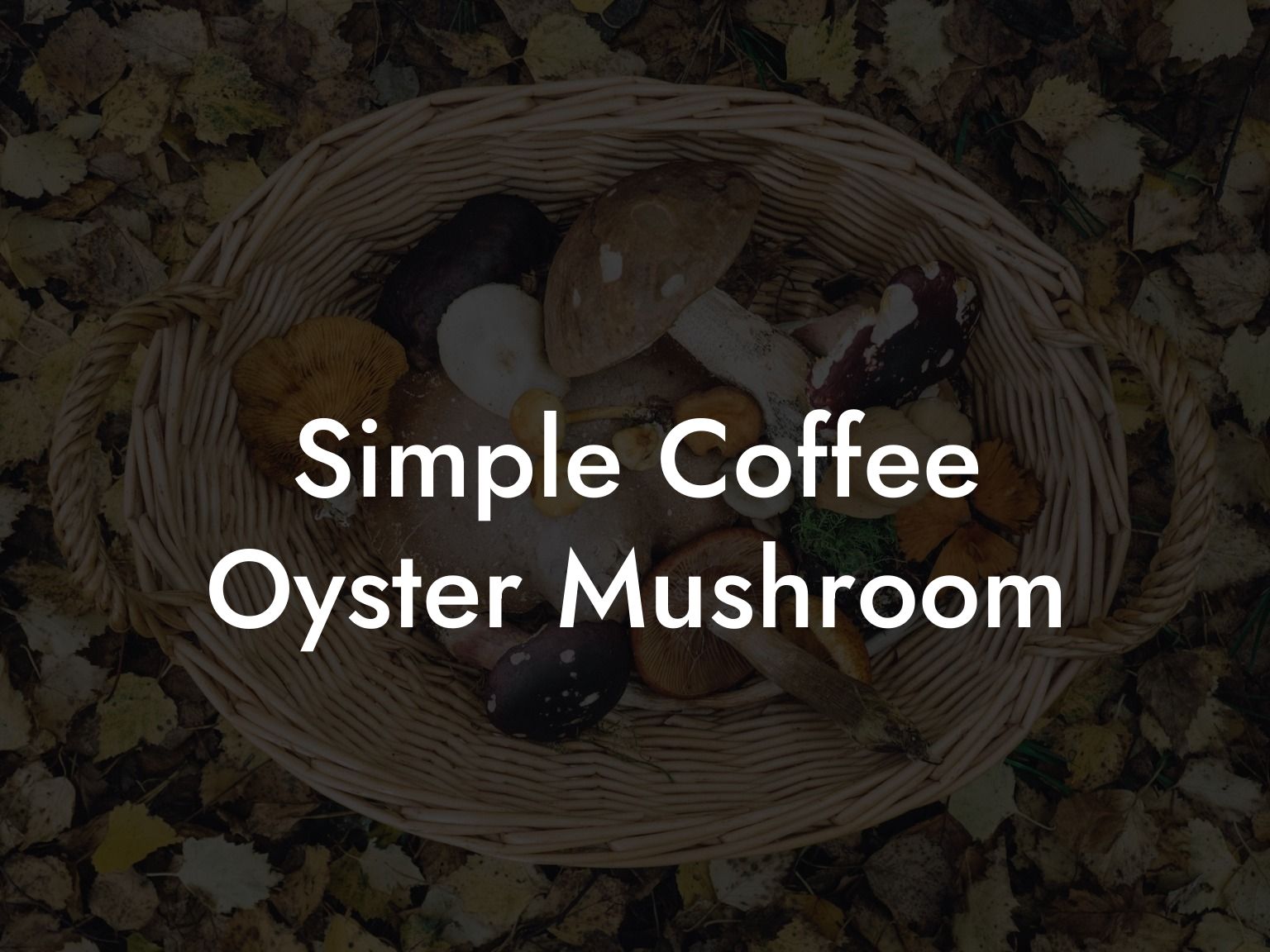 Simple Coffee Oyster Mushroom