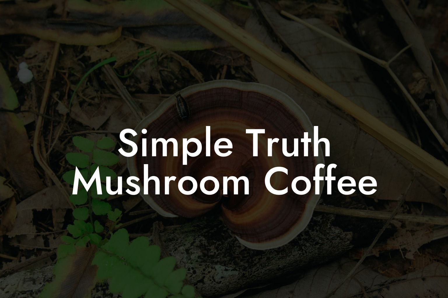 Simple Truth Mushroom Coffee