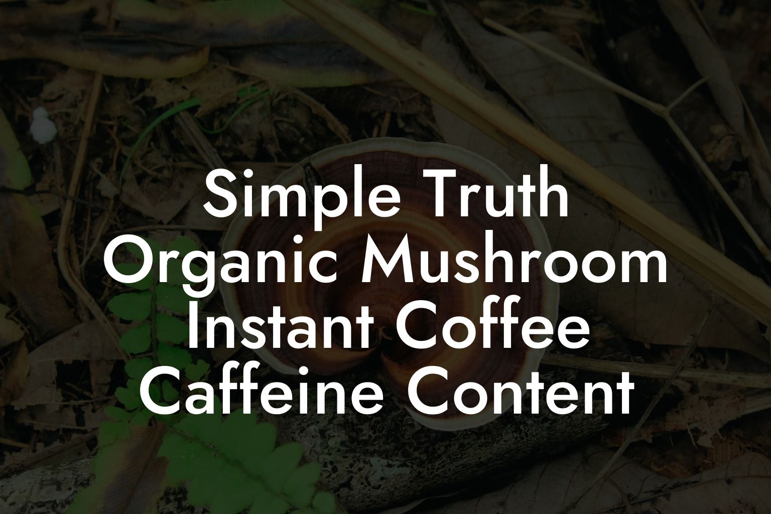 Simple Truth Organic Mushroom Instant Coffee Caffeine Content